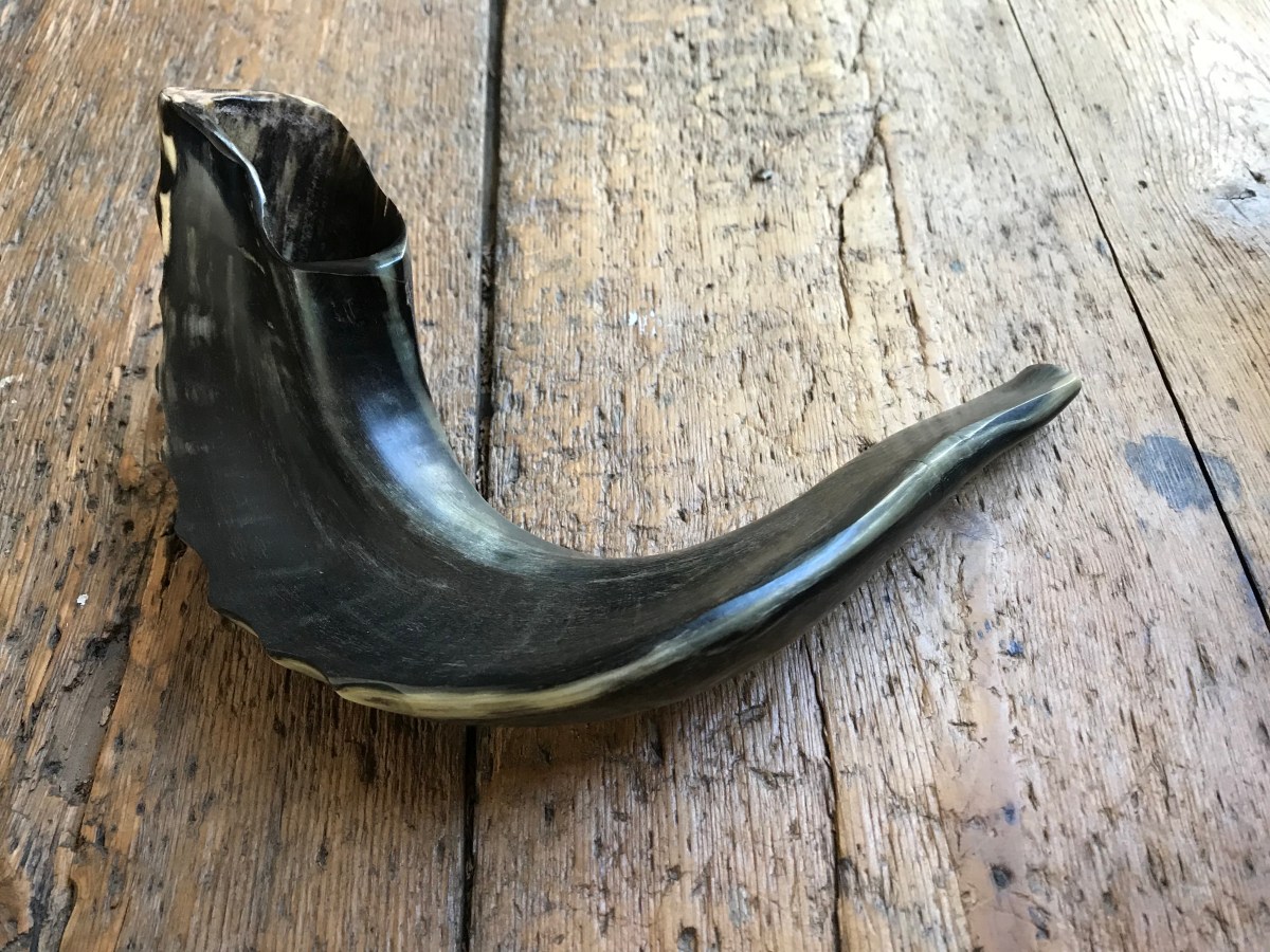 Malchuyot, Zichronot, Shofarot – A Rosh Hashanah 5773&nbsp;reflection